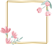 Floral Border PNG