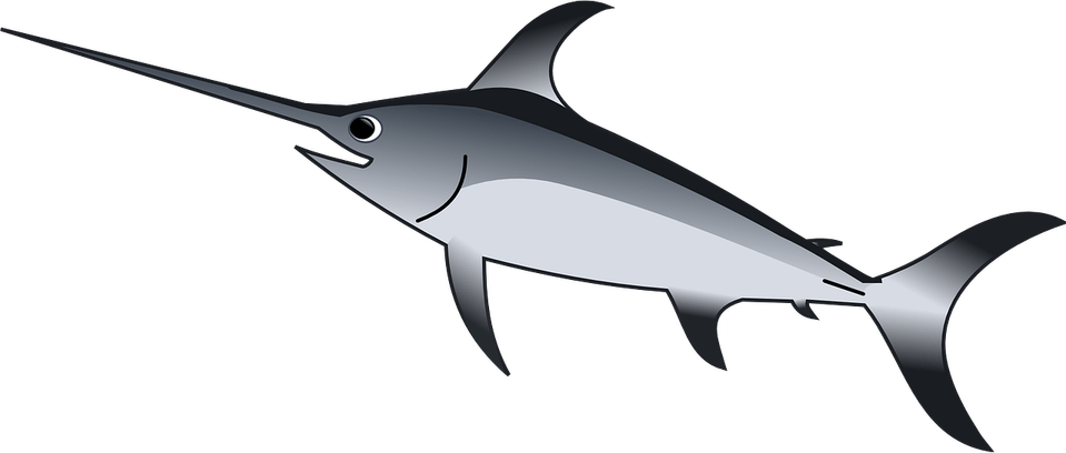 Sword Fish PNG