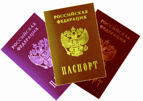 Passport PNG