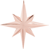 Sparkle Star PNG