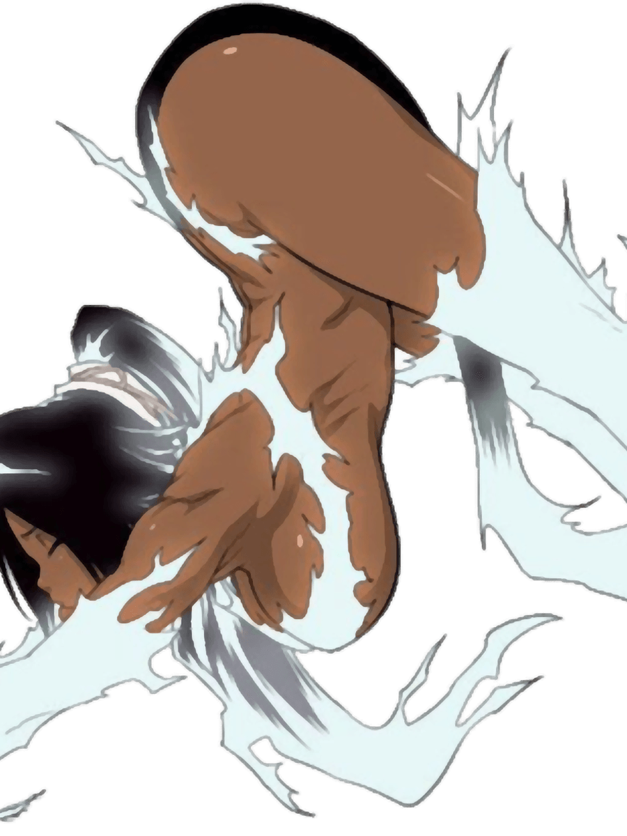 Yoruichi Cat PNG