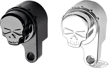Harley Davidson Skull PNG