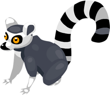Lemurs PNG