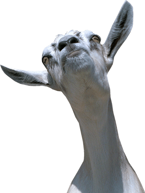 Goat Head PNG