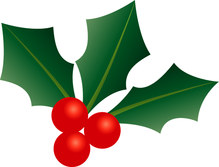 Holly PNG