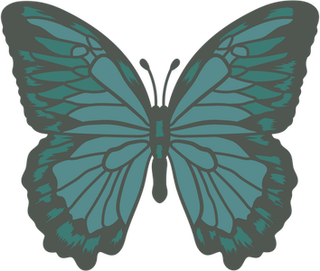 Teal Butterfly PNG