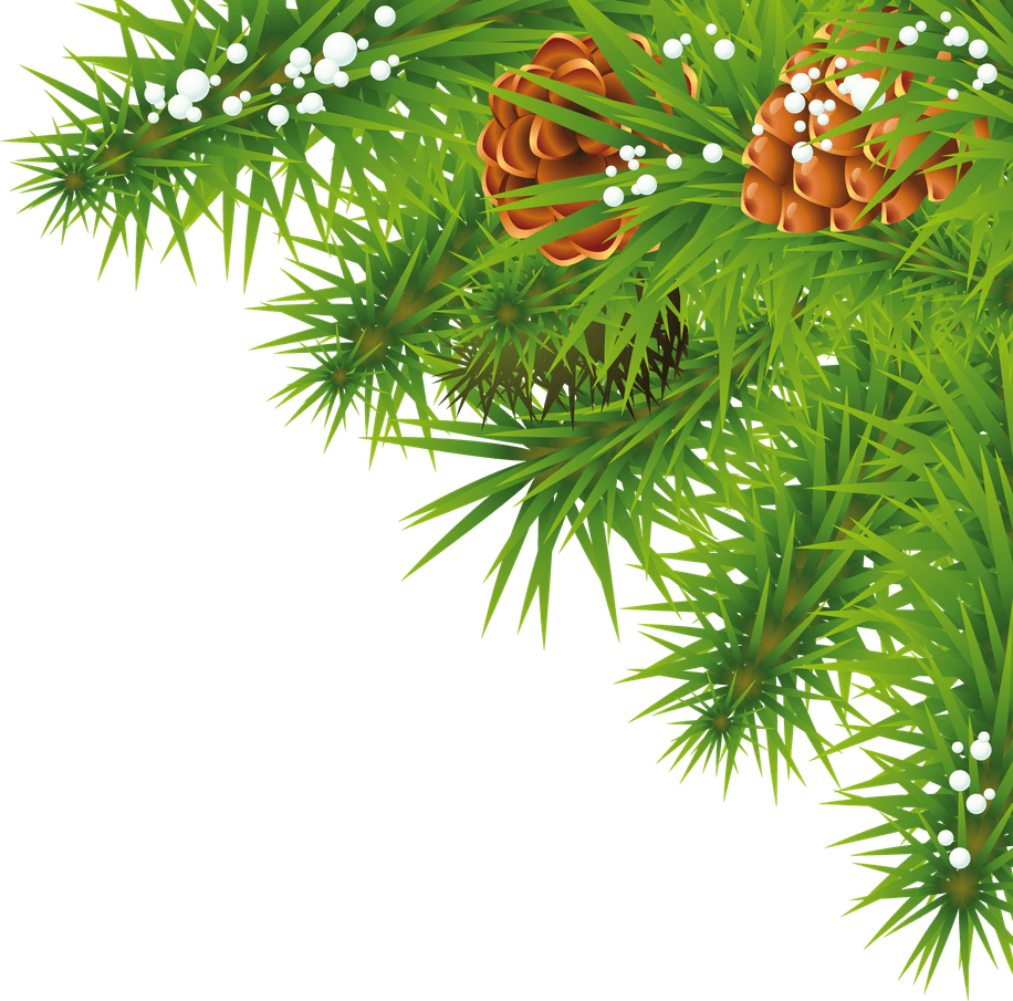 Christmas Branches PNG