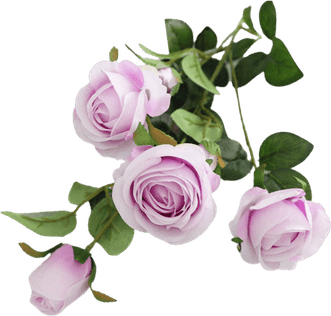Artificial Rose PNG
