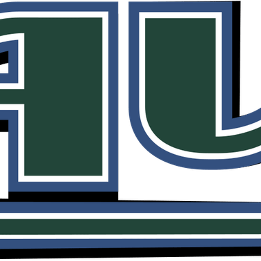 Tampa Bay Rays PNG