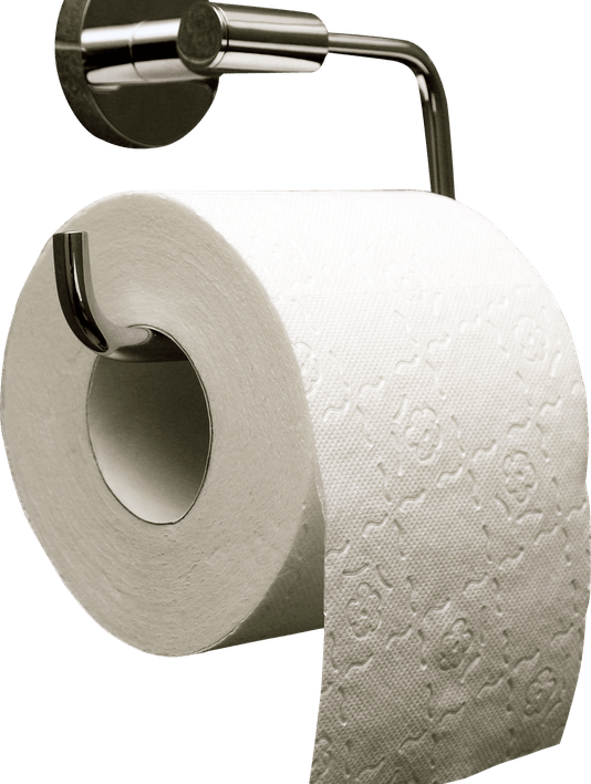 Toilet Paper PNG