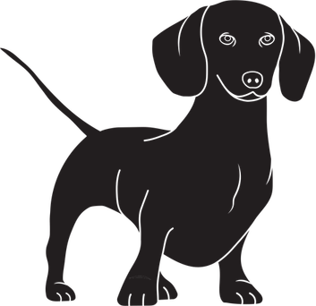 Dachshund PNG