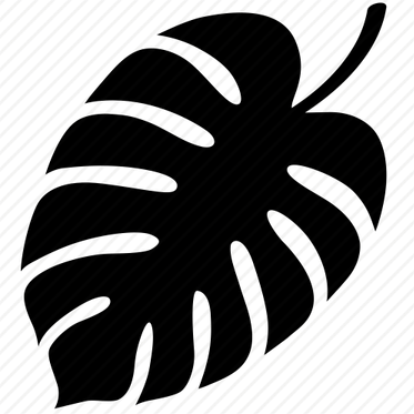 Jungle Leaf PNG