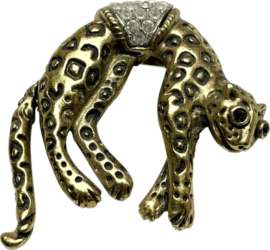 Jungle Cat PNG