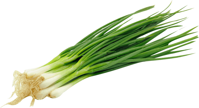 Spring Onions PNG