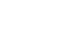 White Light PNG
