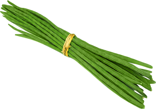 Drumstick PNG