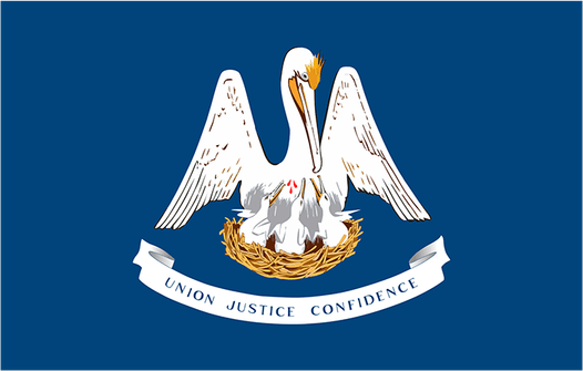 Louisiana Flag PNG