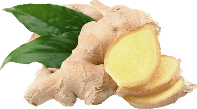 Galangal PNG