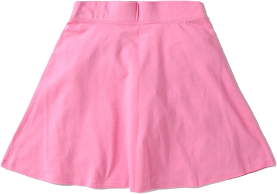 Skirt PNG