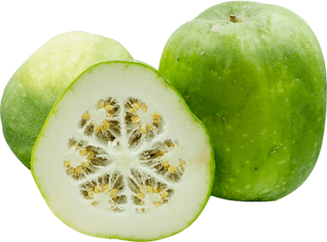 Ivy Gourd PNG