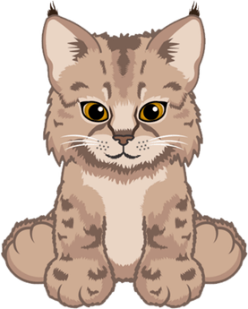 Bob Cat PNG