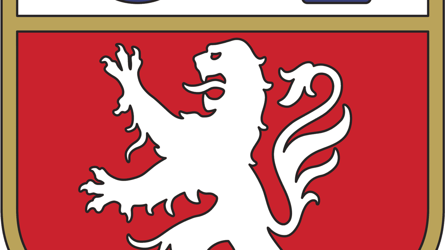 Olympique Lyonnais PNG