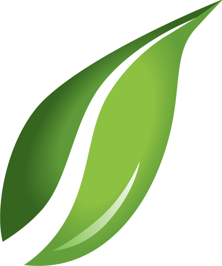 Green Leaves PNG