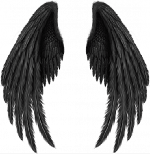 Devil Wings PNG