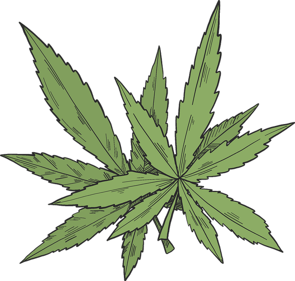Cartoon Weed Leaf PNG