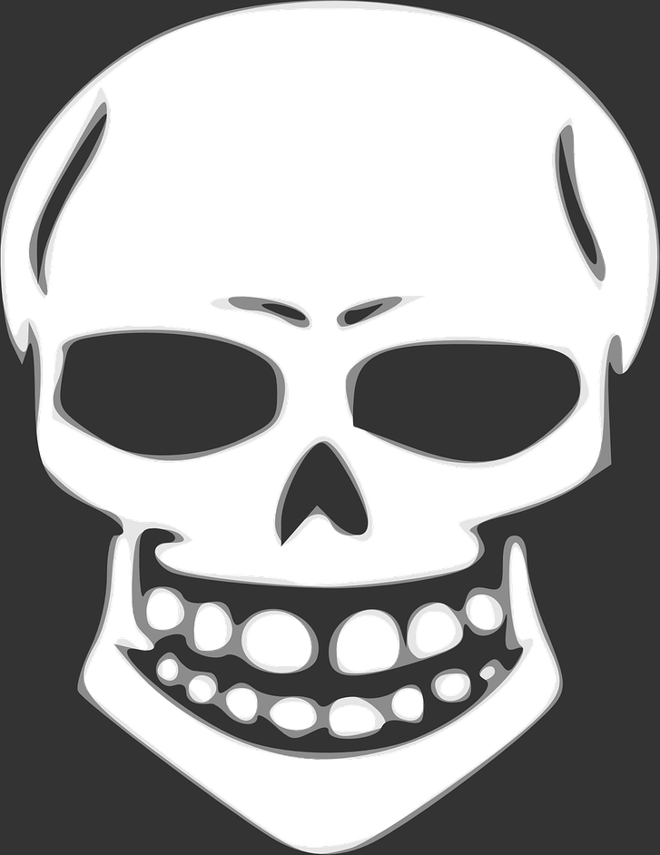 X Ray PNG