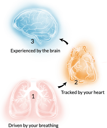Stress Brain PNG