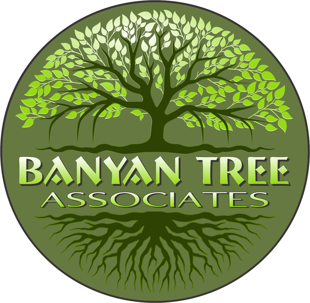 Banyan Tree PNG