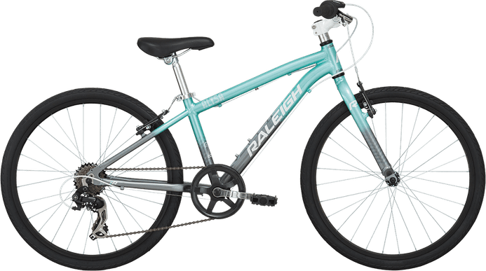 Raleigh Bicycle Company PNG