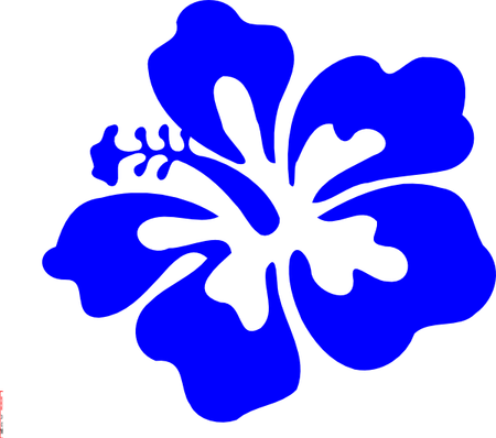 Tropical Flower PNG