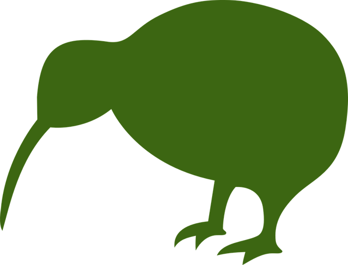 Cartoon Kiwi Bird PNG