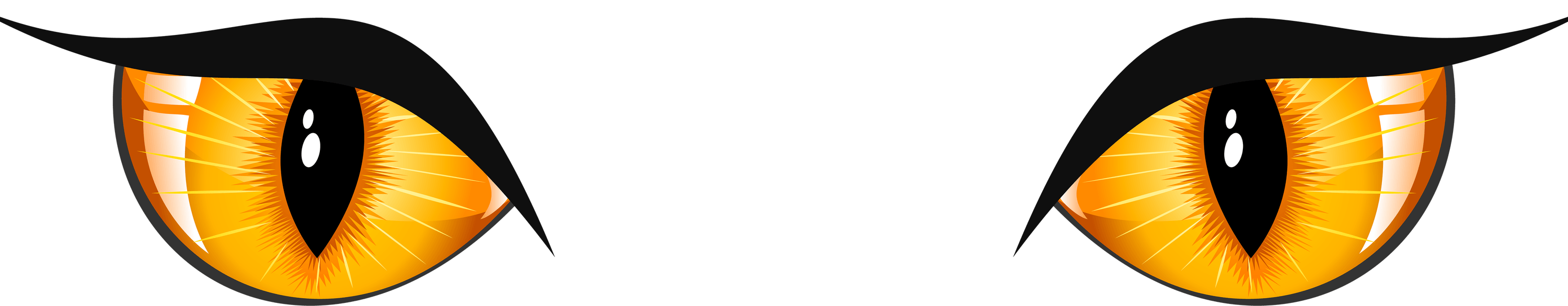 Car Eyes PNG
