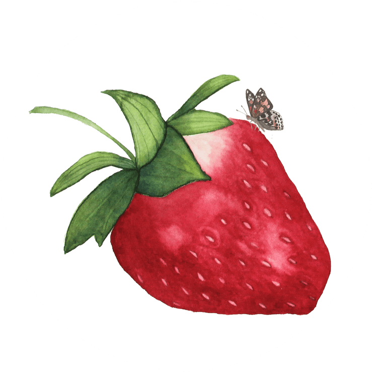 Watercolor Strawberry PNG