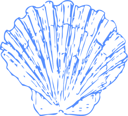 Blue Shell PNG