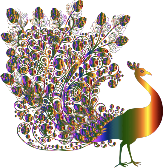 Peacock PNG