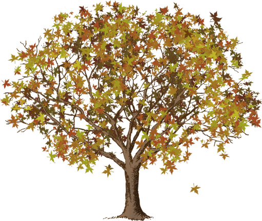 Fall Tree PNG