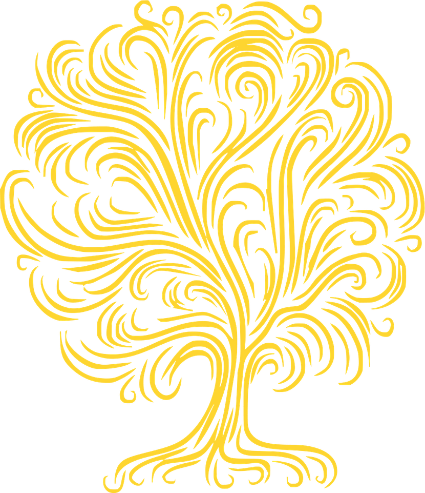 Oakland Tree PNG