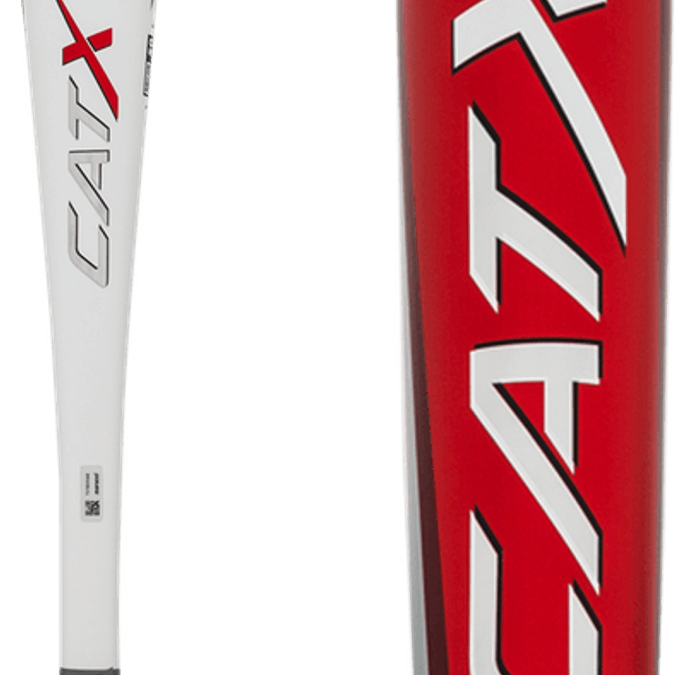Cat X Baseball Bat PNG