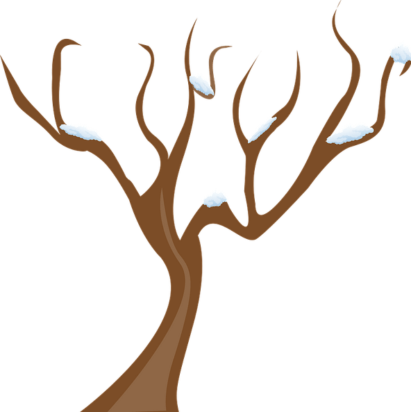Winter Tree PNG