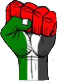 Palestine Emoji PNG