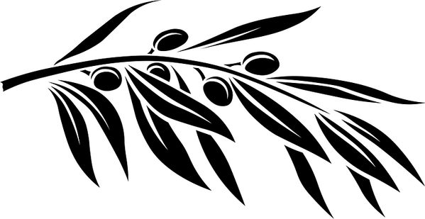 Olive Branch Black PNG