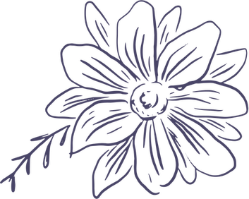 Chalkboard Flower PNG