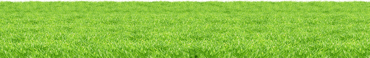Lawn PNG