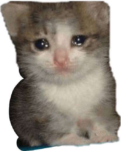 Sad Cat Memes PNG