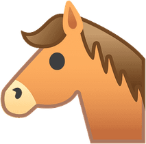 Horse Head PNG