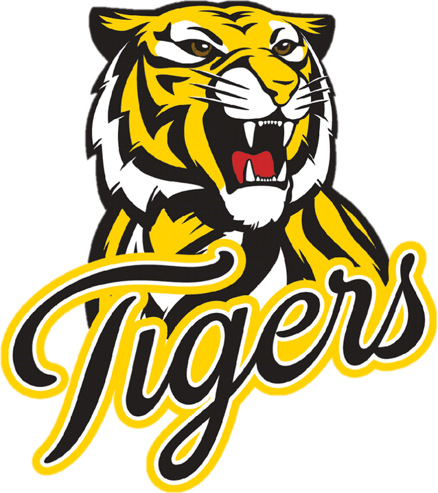 Detroit Tigers Logo PNG